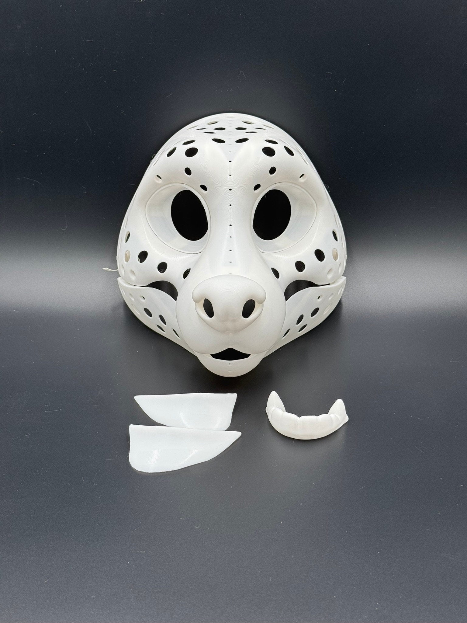 Raccoon 3D printed fursuit head base