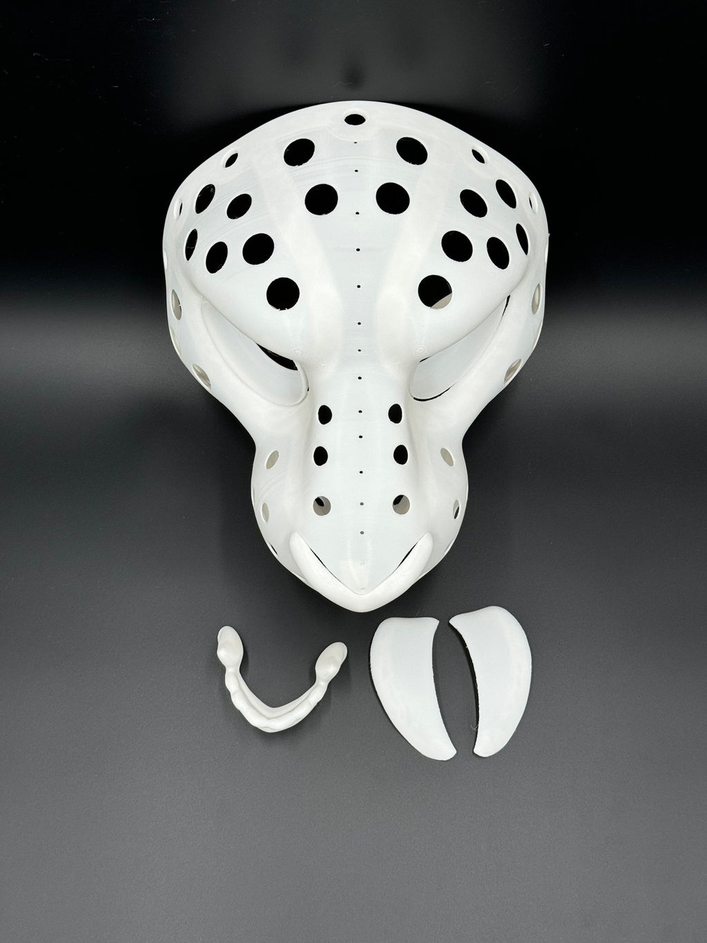 Lion 3D printed fursuit head base