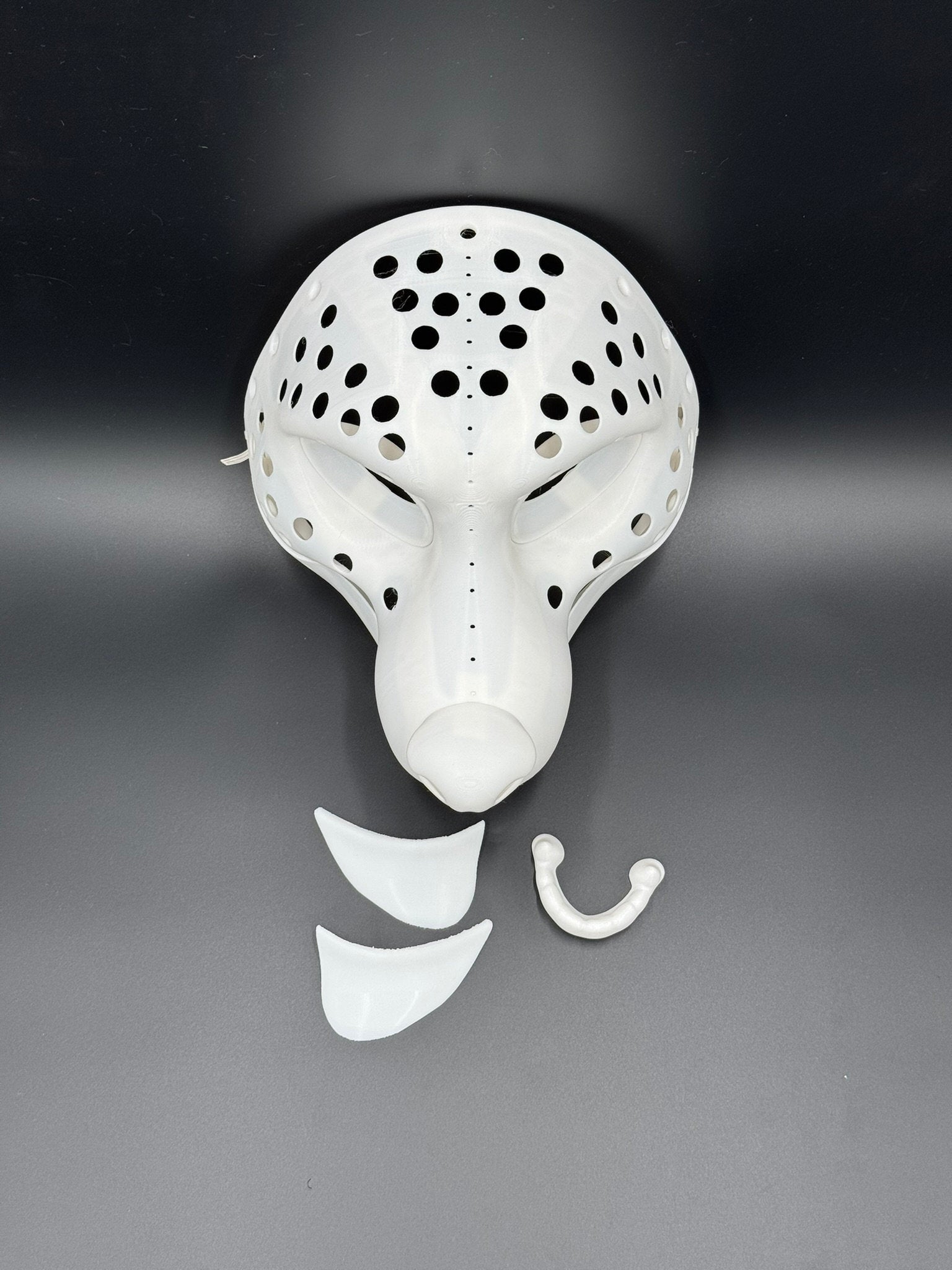 Raccoon 3D printed fursuit head base