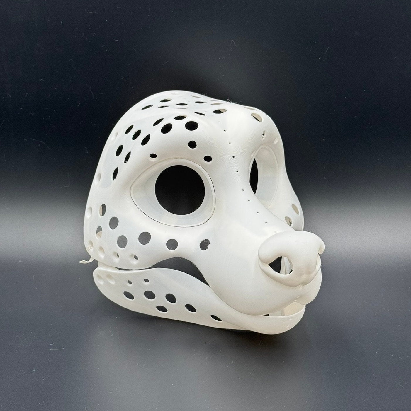 Raccoon 3D printed fursuit head base